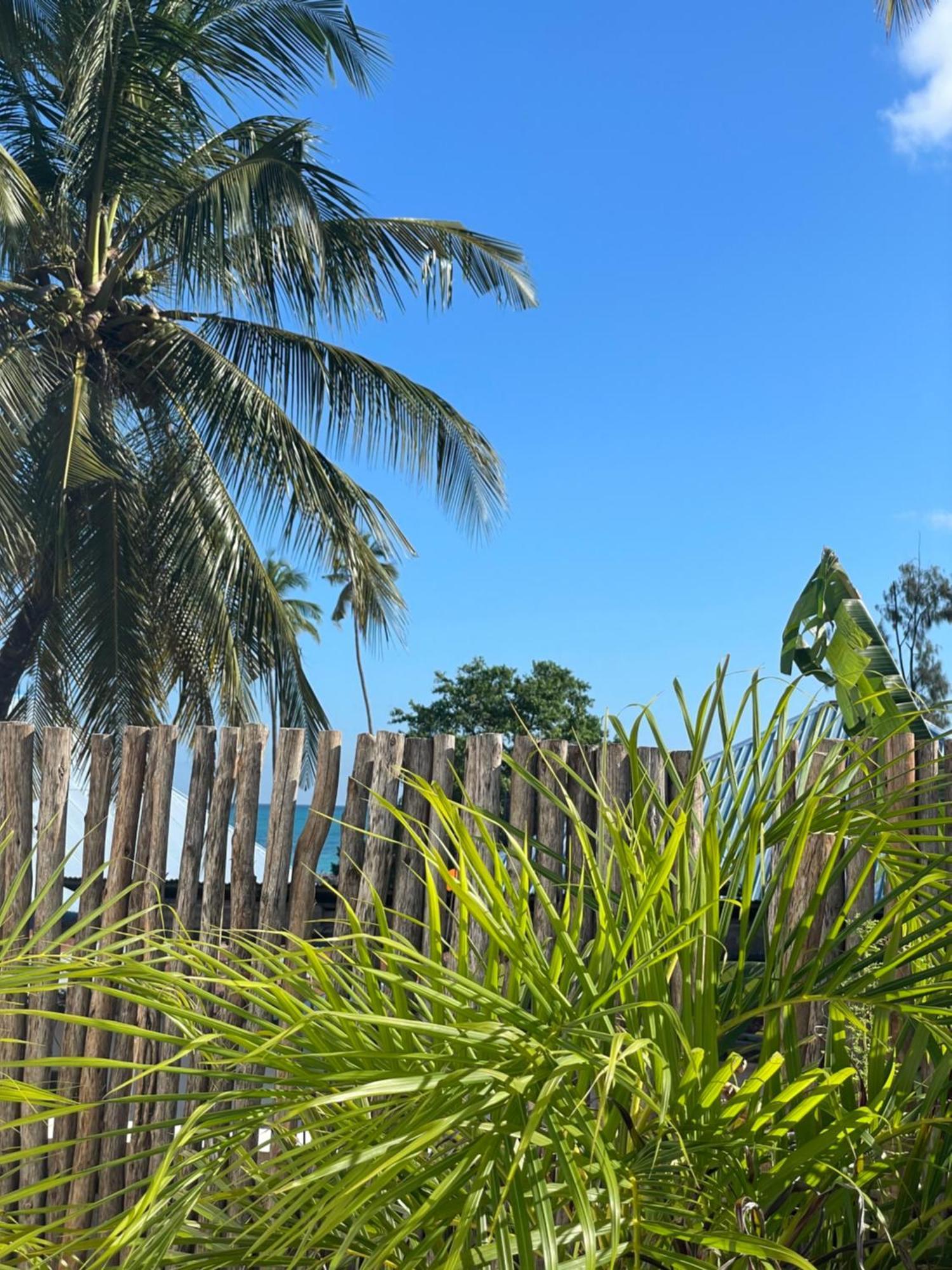 Maison Boheme Bed & Breakfast Nungwi Exterior photo